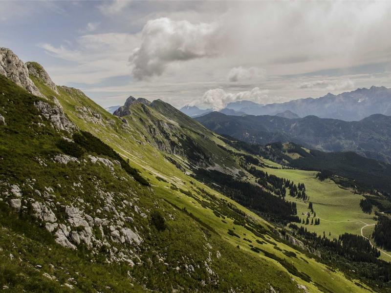 胶片相机<br>lyd4nhjn.cn 柯达金200试炼